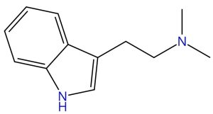DMT Vape Pen